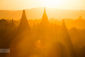 DSC_4318 拷贝