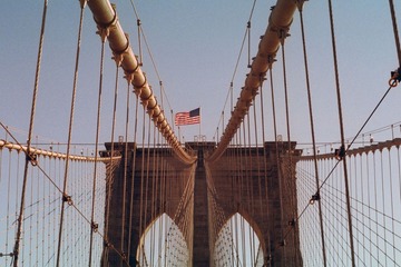 IMG-5000-53445-135