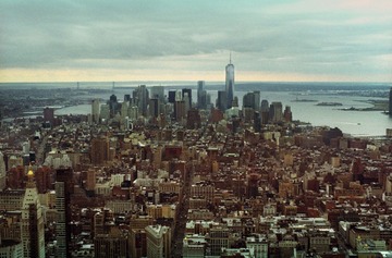 IMG-5000-53451-135