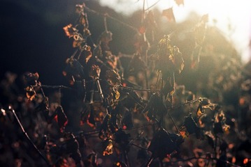 IMG-5000-131390-135