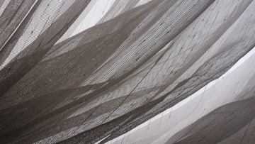 200911543608803349