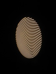 200254456562188306