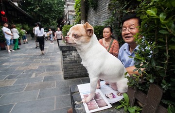 _MG_4328_副本.jpg