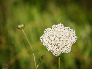 20150614-P1040703