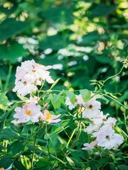 20150614-P1040711