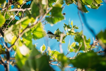 20150614-P1040717