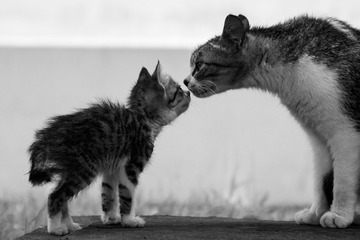 20120712-VZ129910.jpg