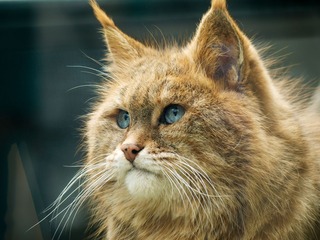 20120117-_1040374.jpg