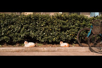 20130110-_1020126.jpg