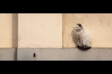 20130114-_1140017.jpg