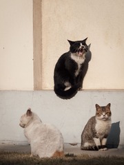 20130119-_1190001.jpg