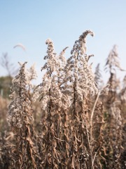 20130118-_1020162.jpg