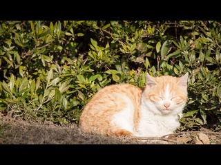 20130119-_1190011.jpg