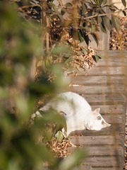 20130119-_1190015.jpg