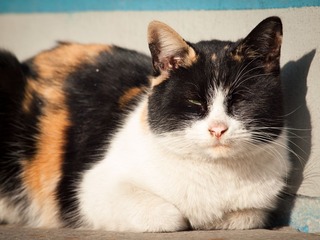 20130119-_1190022.jpg