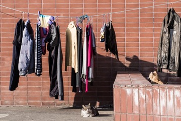 20130128-_1280385.jpg
