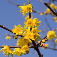 20130128-_1280348.jpg