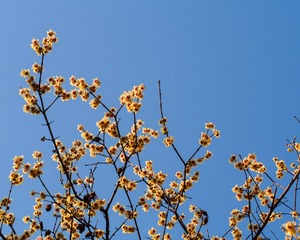 20130128-_1280350.jpg