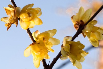 20130128-_1280353.jpg