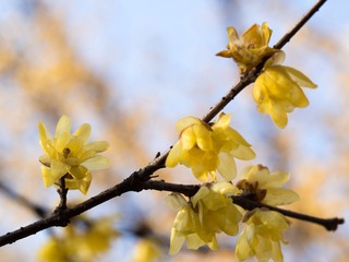 20130128-_1280356.jpg