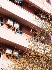20130128-_1280357.jpg