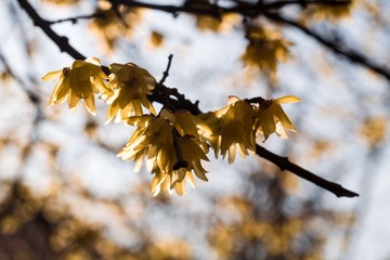 20130128-_1280360.jpg
