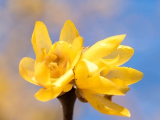 20130128-_1280363.jpg