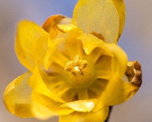 20130128-_1280373.jpg
