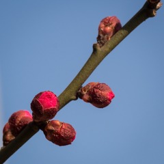 20130128-_1280344.jpg