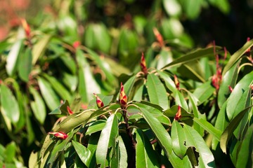 20130128-_1280379.jpg