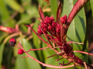 20130128-_1280384.jpg