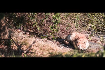 20130128-_1280399.jpg