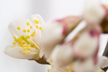 20130214-_2140533.jpg