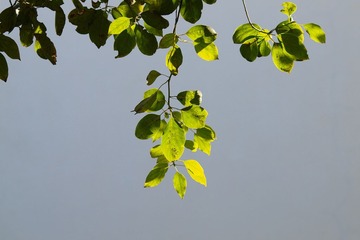 20130303-_3030003.jpg