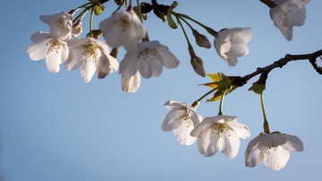20130321-_1020637.jpg