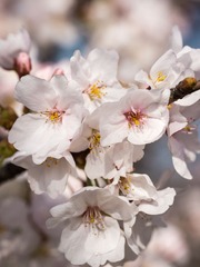 20130321-_1020644.jpg