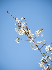 20130321-_3210007.jpg