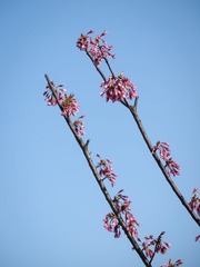 20130321-_3210009.jpg