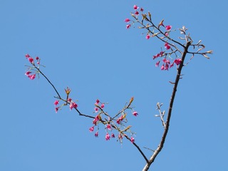 20130321-_3210014.jpg