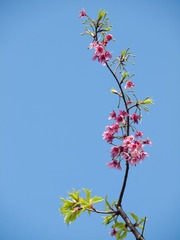 20130321-_3210017.jpg