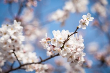20130321-_3210021.jpg