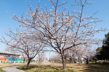 20130321-_3210028.jpg
