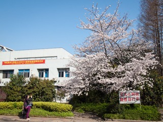 20130321-_3210031.jpg