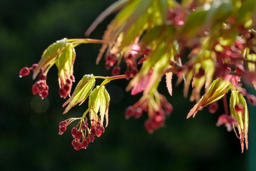 20130330-_1020834.jpg