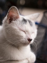 20130425-_1020922.jpg