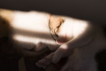 20130503-_1020969.jpg