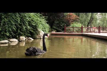 20130515-_5150612.jpg