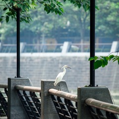 20130522-_5220013.jpg