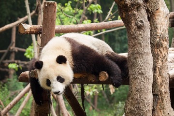 20130616-_6160009.jpg