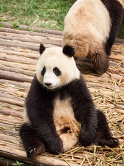 20130616-_6160015.jpg